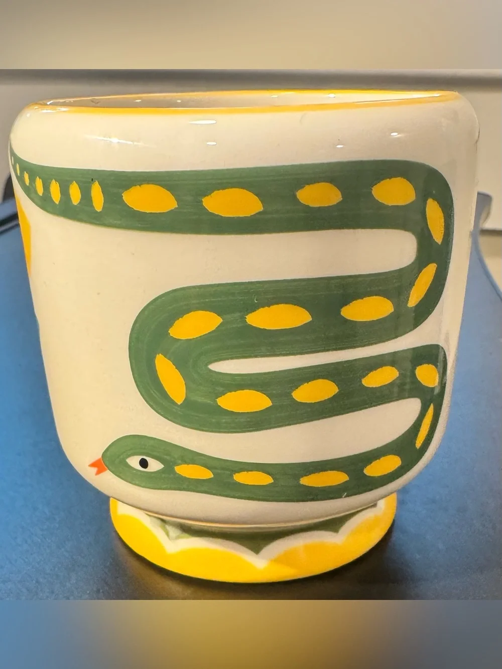 Hand-Painted Ceramic Planter with Green & Yellow Snake Motif